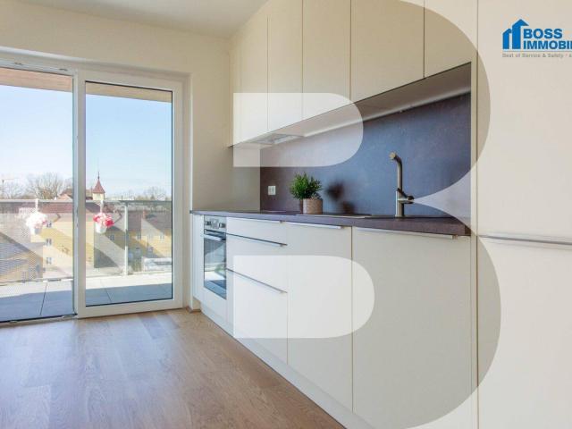 Apartment mieten in St. Dionysen, Traun