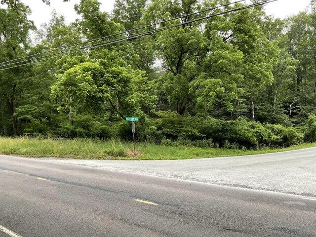 Land for sale in Tannersville