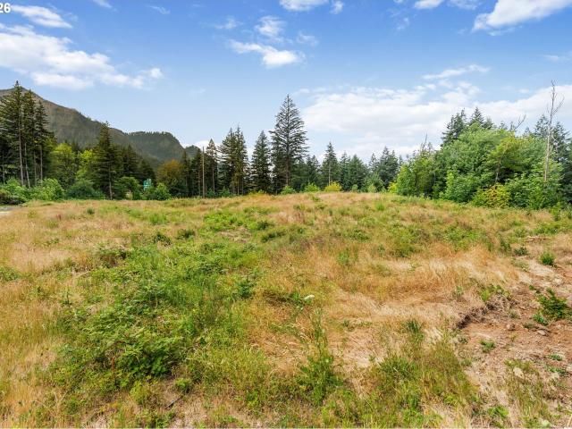 Land for sale in Oregonia