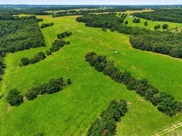 Farm for sale in Mountain Grove, Missouri