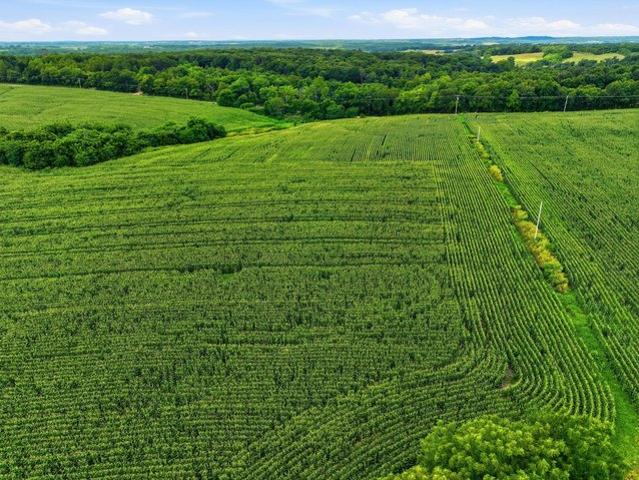 Land for sale in Mountain Grove, Missouri