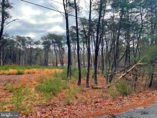 Land for sale in Quinton, New Jersey