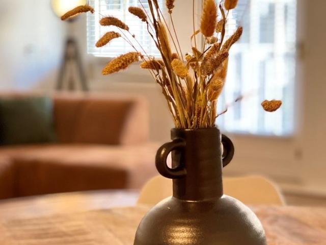 Appartement te huur in Oude Noorden, Rotterdam