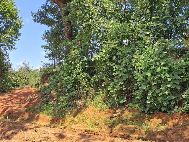 Land for sale in Ashland, Mississippi