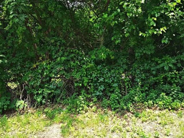 Land for sale in Medford