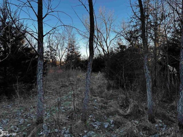 Land for sale in Cantril, Iowa