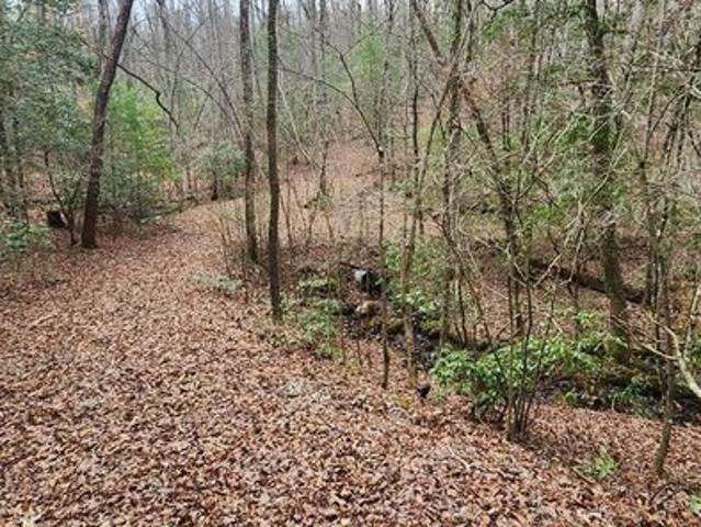 Land for sale in Blairsville, Georgia