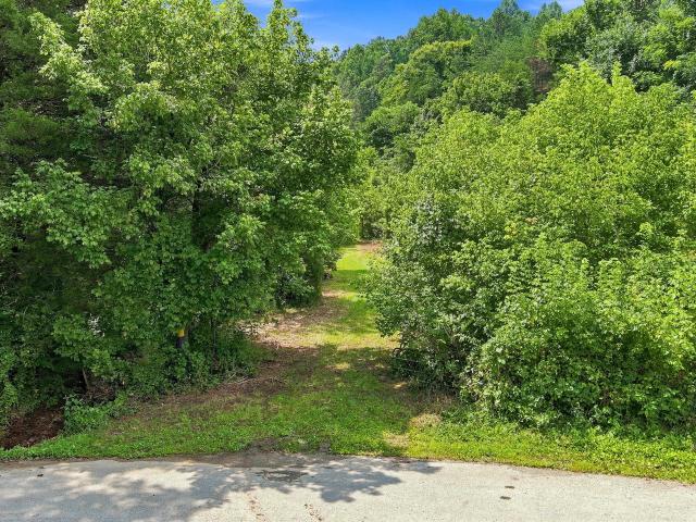 Land for sale in Maynardville, East Tennessee