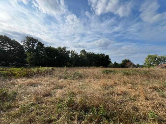 Terrain vente à Grayan-et-l'hôpital, Gironde
