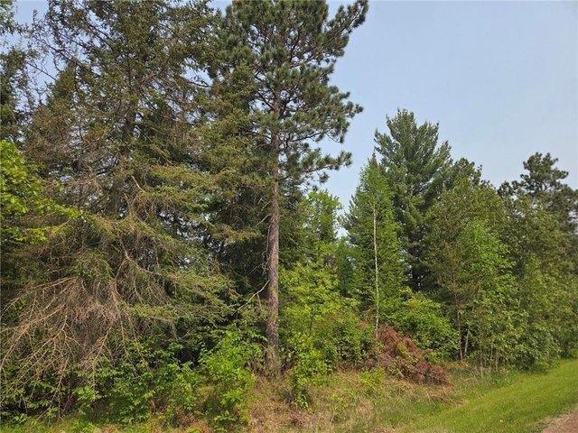 Land for sale in Beltrami, Minnesota
