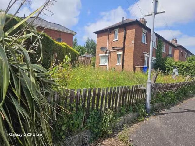 House to rent