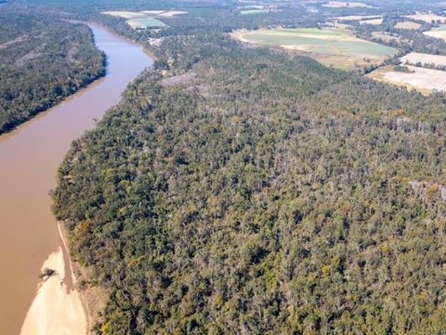 Land for sale in Uvalda, Georgia