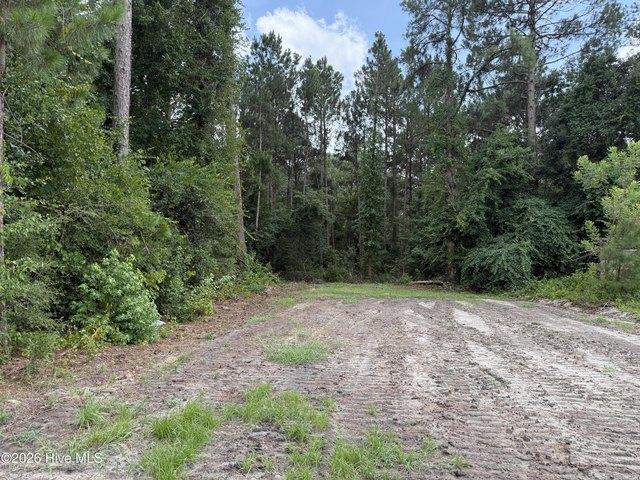 Land for sale in Elizabethtown, North Carolina