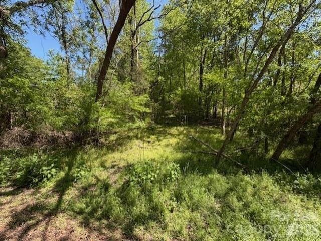 Land for sale in Blackstock, South Carolina
