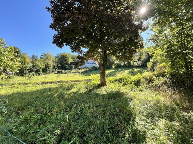 Grundstück kaufen in Gersdorf-Feistritz, Steiermark