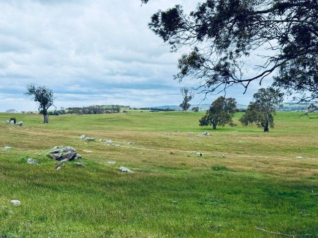 Land for sale in Tungkillo, South Australia