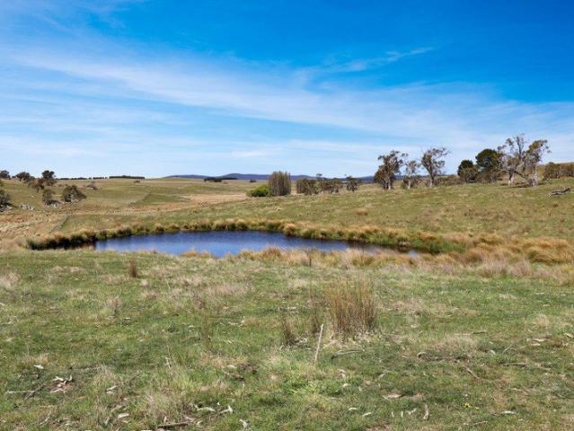 Cottage for sale in Delegate, New South Wales