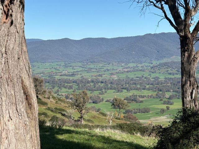 Cottage for sale in Gundowring, Victoria