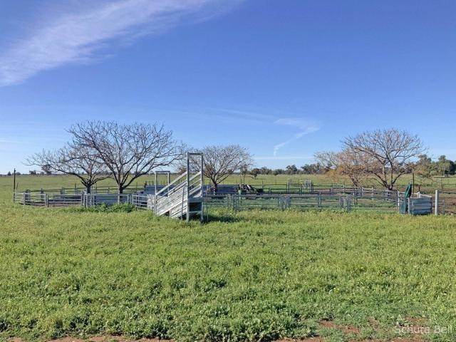 Property for sale in New South Wales