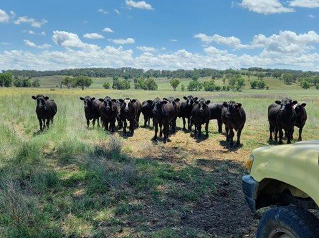 Property for sale in Ulamambri, New South Wales