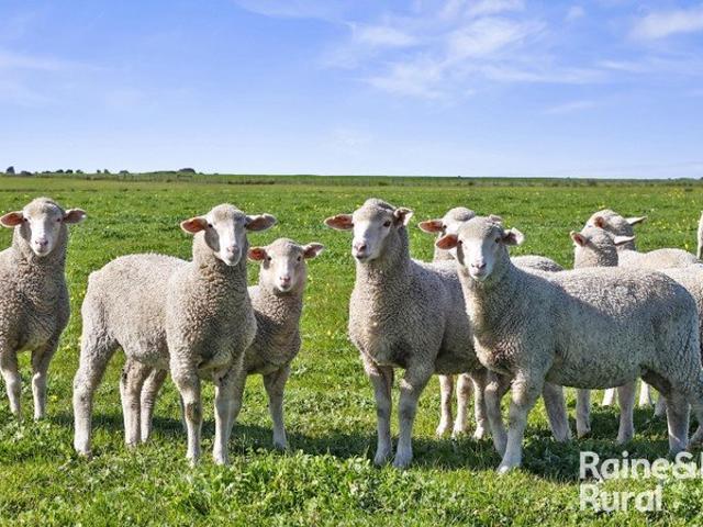 Acreage for sale in Milang, South Australia