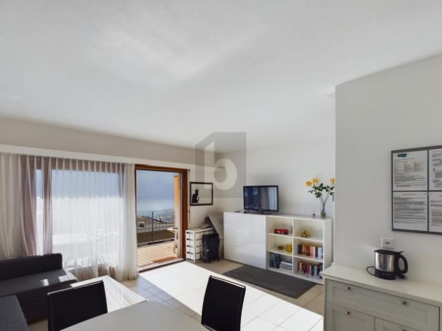 Wohnung kaufen in Orselina, Tessin