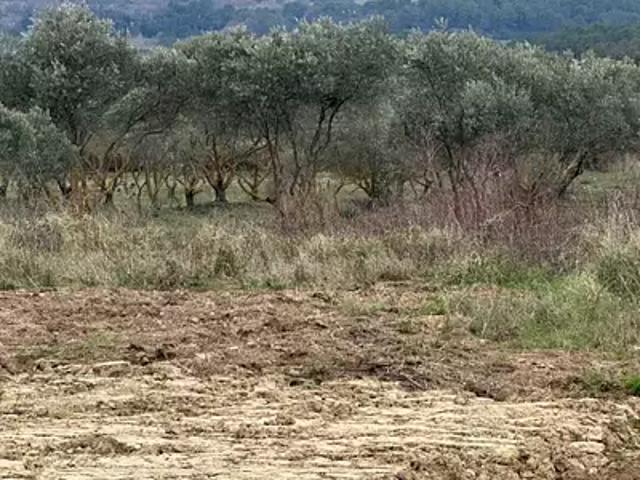 Terrain vente à France métropolitaine, Gréasque