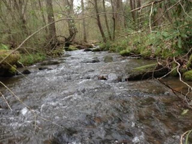 Land for sale in Murphy