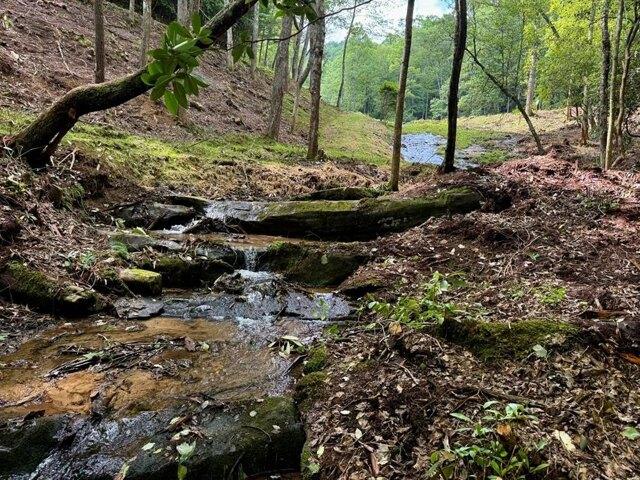 Land for sale in Murphy