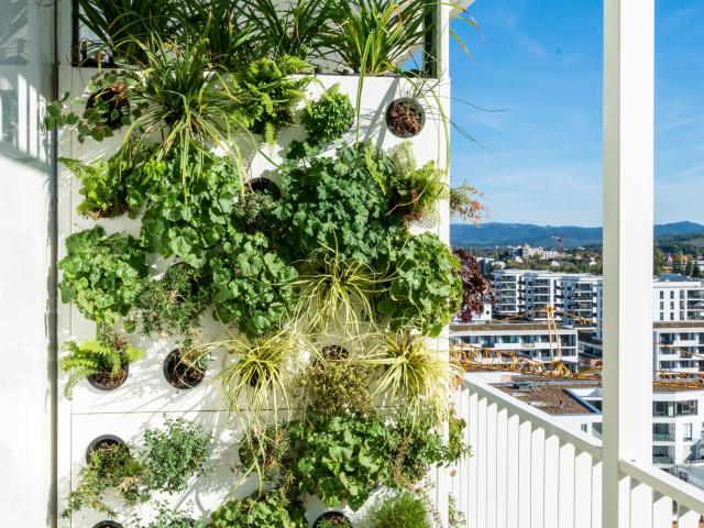 Apartment mieten in Brühl, Freiburg