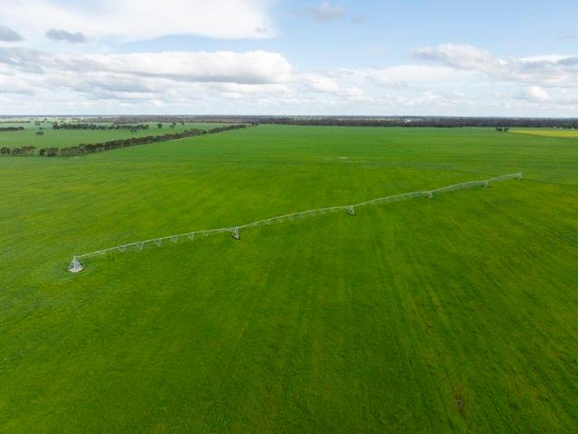 Acreage for sale in Bordertown, South Australia