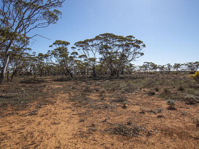 Property for sale in South Australia