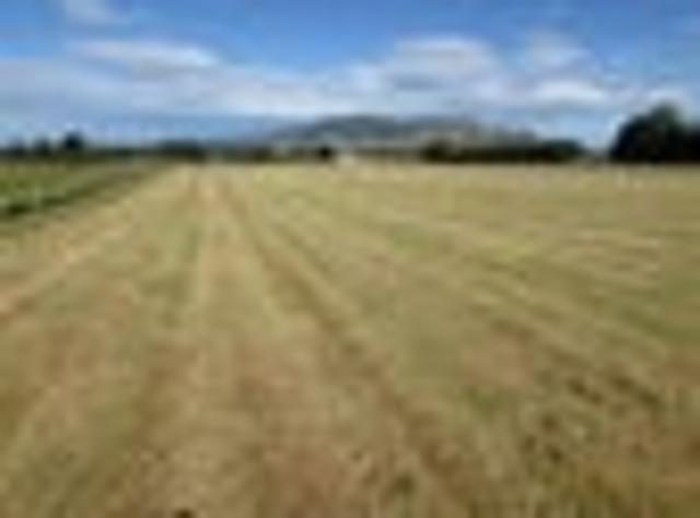 Land for sale in Gore, Southland