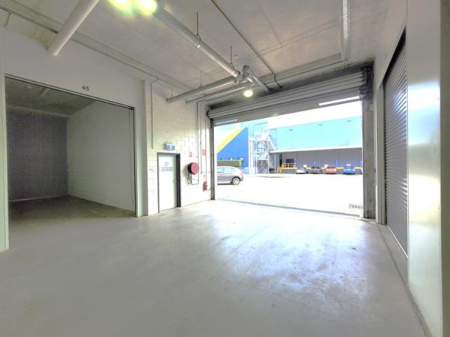 Warehouse for rent in Lower North Shore, Sydney