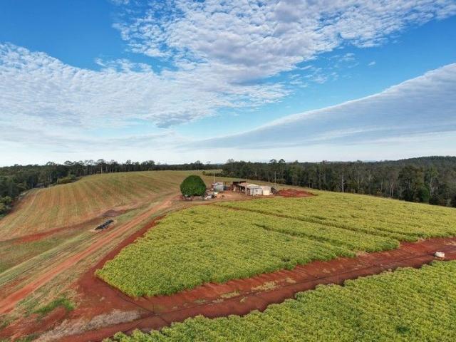 Cottage for sale in Apple Tree Creek, Queensland