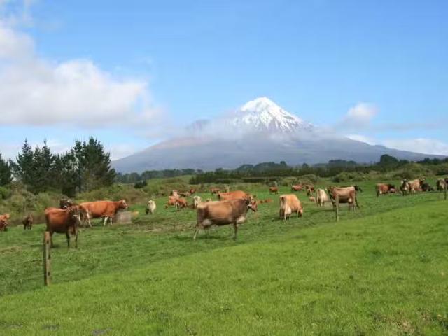 House for sale in Taranaki
