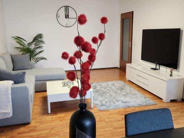 Apartment mieten in Eller, Düsseldorf