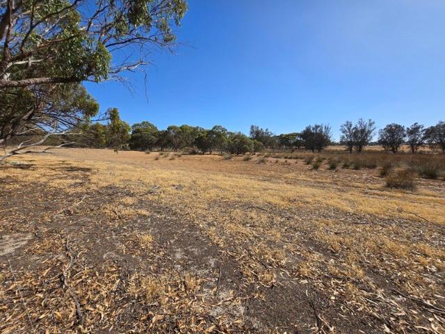 Land for sale in Ewlyamartup, Western Australia