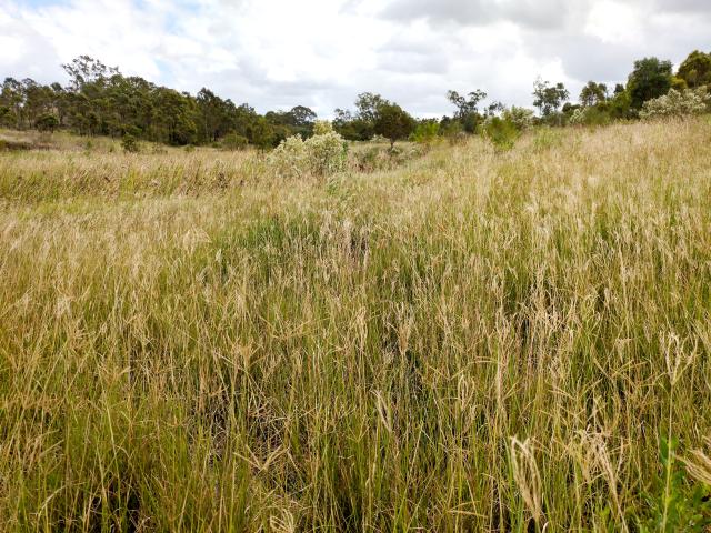 Property for sale in Booyal, Queensland