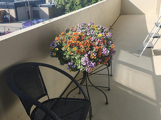 Condo for sale in Alberta