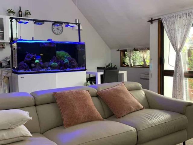 Apartment for rent in Upper Riccarton, Christchurch