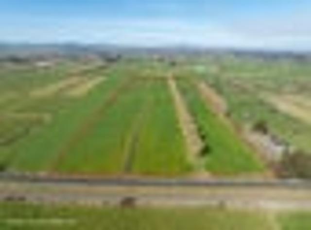 Land for sale in Waikato