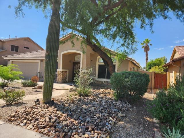 Room for rent in Gilbert, Arizona