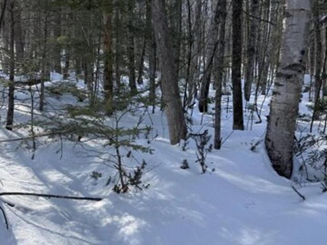 Land for sale in Hartland, Maine