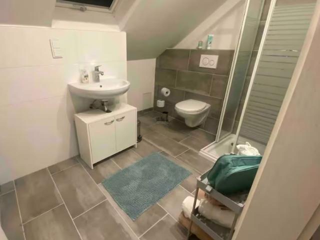 Apartment mieten in Biebesheim, Hessen