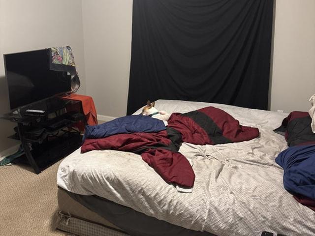 Room for rent in Glen Arm, Maryland