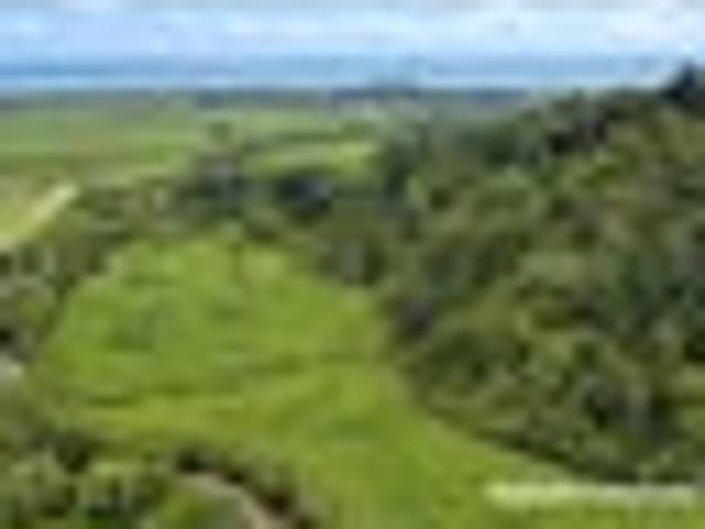 Land for sale in Buller District, West Coast