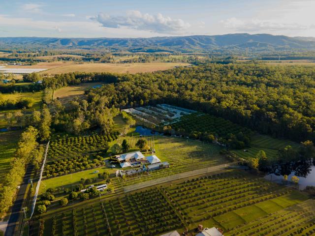 Property for sale in Toombul, Queensland