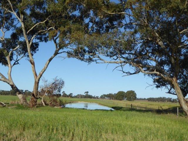 Property for sale in Lowan Vale, South Australia
