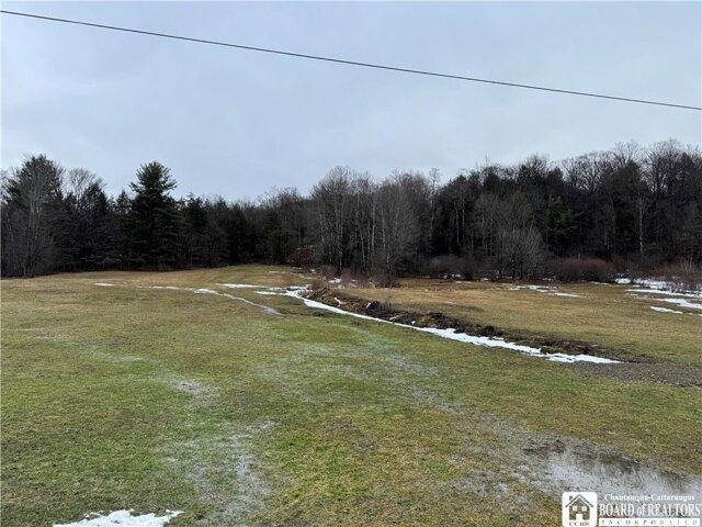 Land for sale in Great Valley, New York